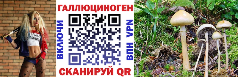 наркота Мытищи ссылка на мегу рабочий сайт Галлюциногенные грибы прущие грибы
